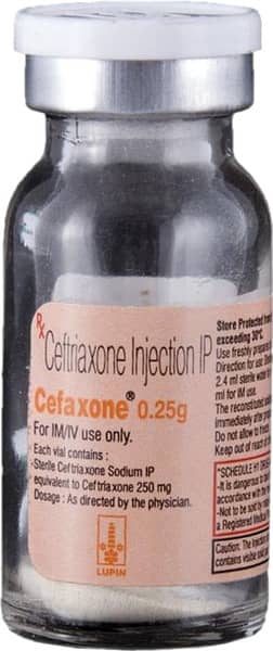 Cefaxone 0.25gm Dry Vial Of 1 Powder For Injection