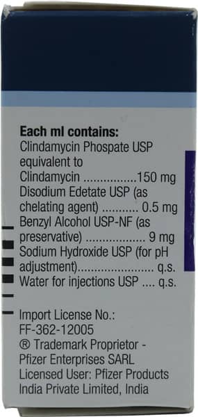 Dalacin C 600mg Ampoule Of 4ml Solution For Injection