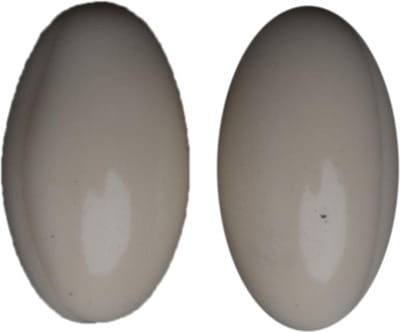 Dubagest 200mg Strip Of 10 Capsules