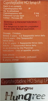 Hungree Pineapple Flavour Bottle Of 200ml Syrup