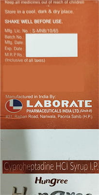 Hungree Pineapple Flavour Bottle Of 200ml Syrup