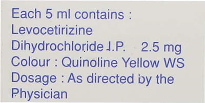 Lezyncet Bottle Of 30ml Syrup