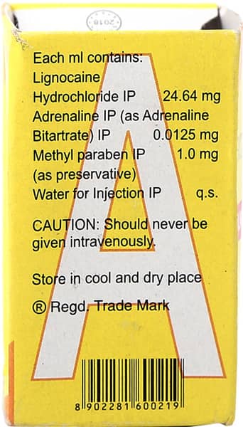 Lignox 2% A Vial Of 30ml Solution For Injection