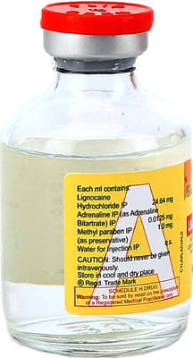 Lignox 2% A Vial Of 30ml Solution For Injection