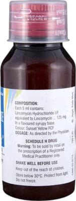 Lynx Bottle Of 60ml Syrup