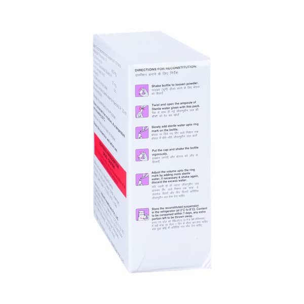 Megamox Cv Duo Dry Syrup 30ml