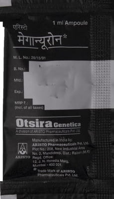 Meganeuron 500mcg Ampoule 1ml Injection