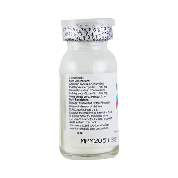 Megapen 1gm Dry Vial Of 1 Powder For Injection