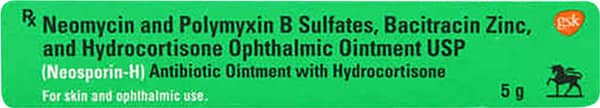 Neosporin H Ointment