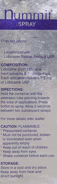 Nummit Fresh Mint Flavour Spray 100gm