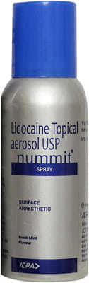 Nummit Fresh Mint Flavour Spray 100gm