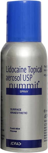 Nummit Fresh Mint Flavour Spray 100gm