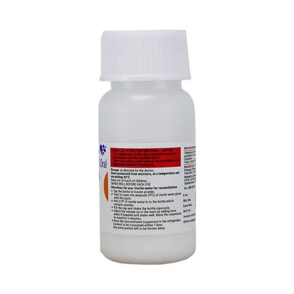 Pecef 100mg Suspension 30ml