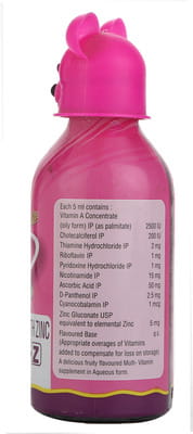 Visyneral Z Bottle Of 100ml Syrup