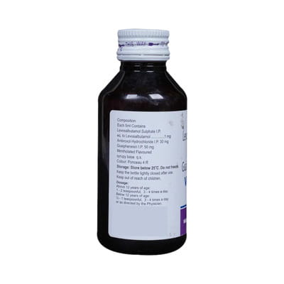 Viscodyne Ls Bottle Of 100ml Expectorant