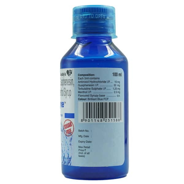 Viscodyne Sugar Free Bottle Of 100Ml Cough Syrup