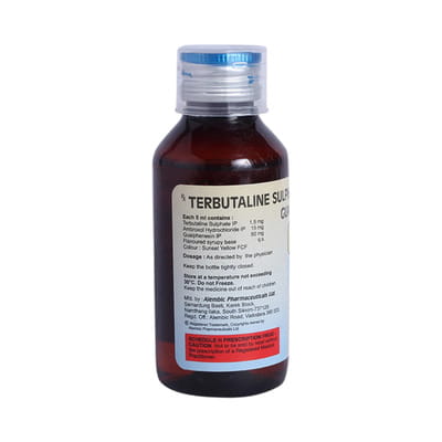 Ephedrex Plus Bottle Of 100ml Syrup