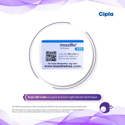 Maxiflo 250mcg Box Of 120md Metered Dose Inhaler