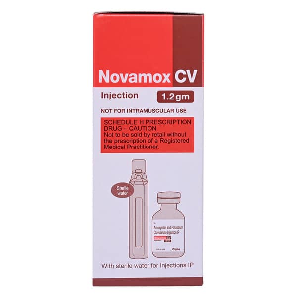Novamox Cv 1.2gm Dry Vial Of 1 Powder For Injection