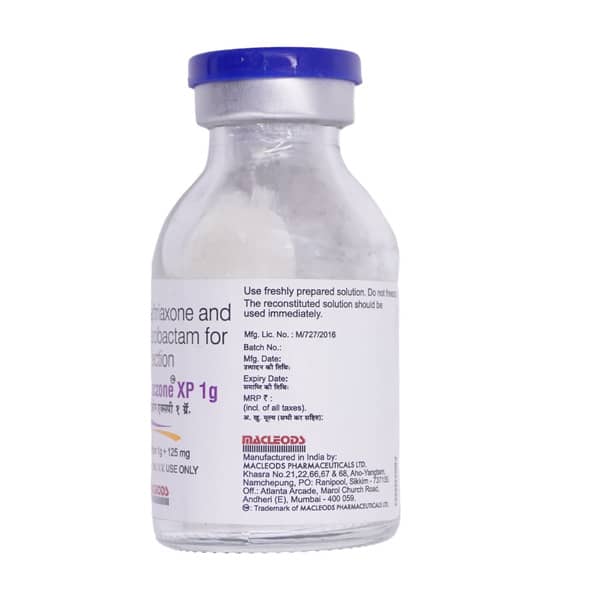 Maczone Xp 1Gm Dry Vial Of 1 Powder For Injection
