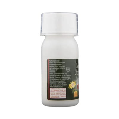 Co2 Delicious Mango Flavour Dry Bottle Of 30ml Syrup