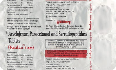 Kudzu Flam Strip Of 10 Tablets