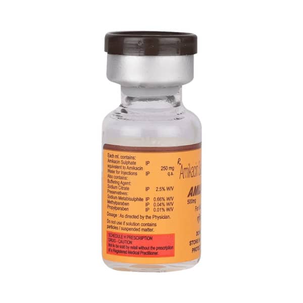 Amiject 500mg Vial Of 2ml Injection