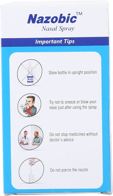 Nazobic 120md Bottle Of 6gm Nasal Spray
