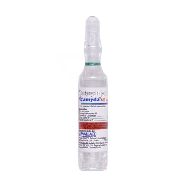 Camyda 600Mg Injection