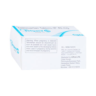 Telgard 40mg Strip Of 10 Tablets