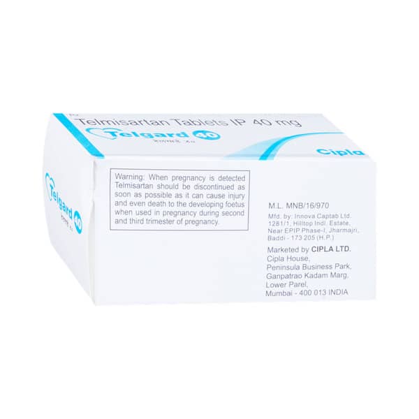 Telgard 40mg Strip Of 10 Tablets