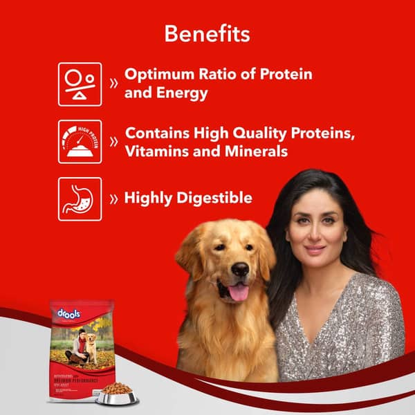 Drools Adult Optimum 20Kg