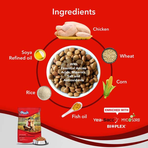 Drools Adult Optimum 20Kg