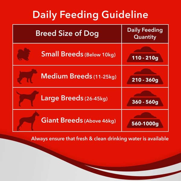 Drools Adult Optimum 20Kg