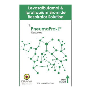Pneumapra L Ampoule Of 2.5Ml Respules (Pack Of 5)