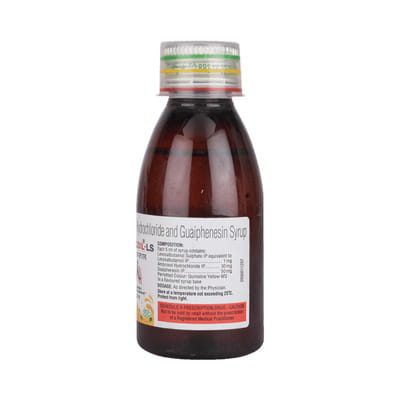 Salmodil Ls Bottle Of 100ml Syrup