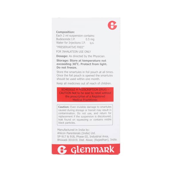 Nebzmart B 0.5mg 2ml Packet Of 8 Smartules