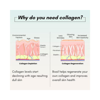 Biosil Bottle Of 30 Capsules