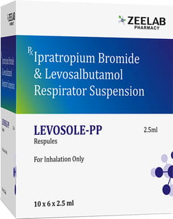Levosole Pp 500mcg/1.25mg Bottle Of 2.5ml Respules