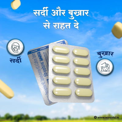 New And Advanced Wincold Cold And Flu Strip Of 10 Tablets