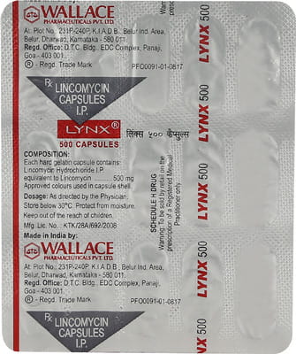 Lynx 500mg Strip Of 15 Capsules