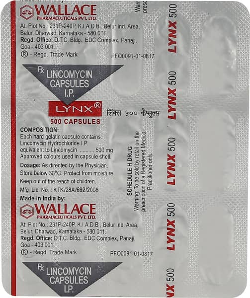 Lynx 500 Capsule