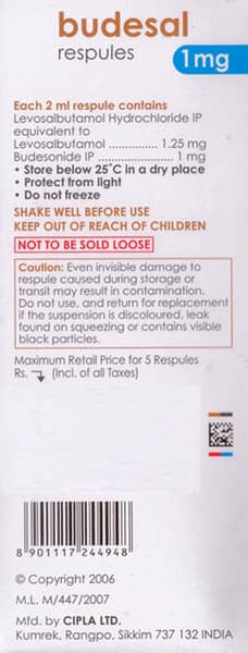Budesal 1mg 2ml Packet Of 5 Respules