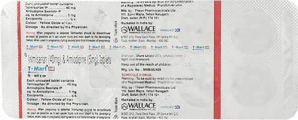 T Mart Am Strip Of 10 Tablets