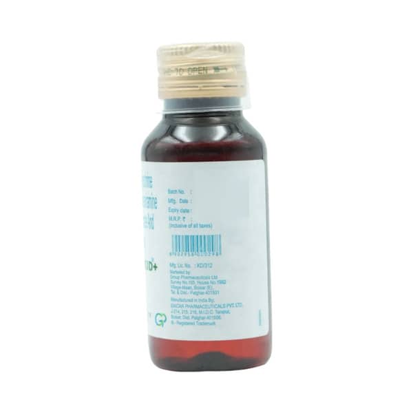 Sudin Kid Plus Bottle Of 60Ml Syrup