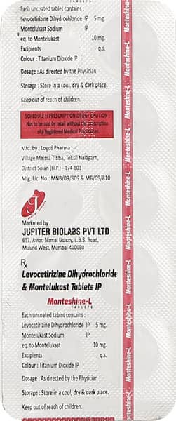 Monteshine L Strip Of 10 Tablets