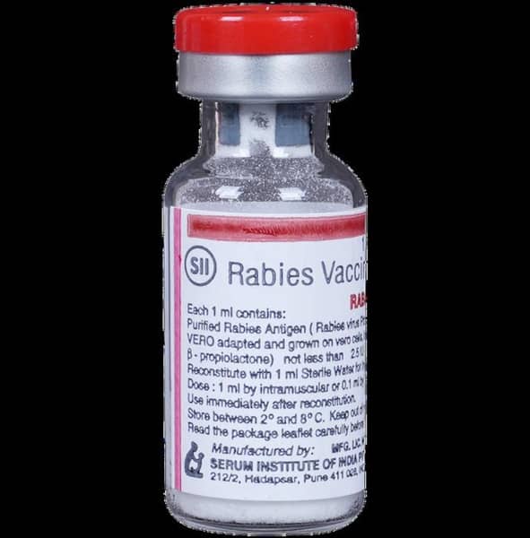 Rabivax S Dry Vial Of 1Ml Powder For Vaccine