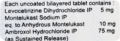 Montegress Xl Strip Of 10 Tablets