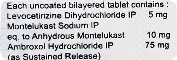 Montegress Xl Strip Of 10 Tablets