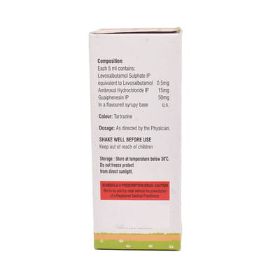 Ventiphylline Ls Junior Bottle Of 60ml Syrup